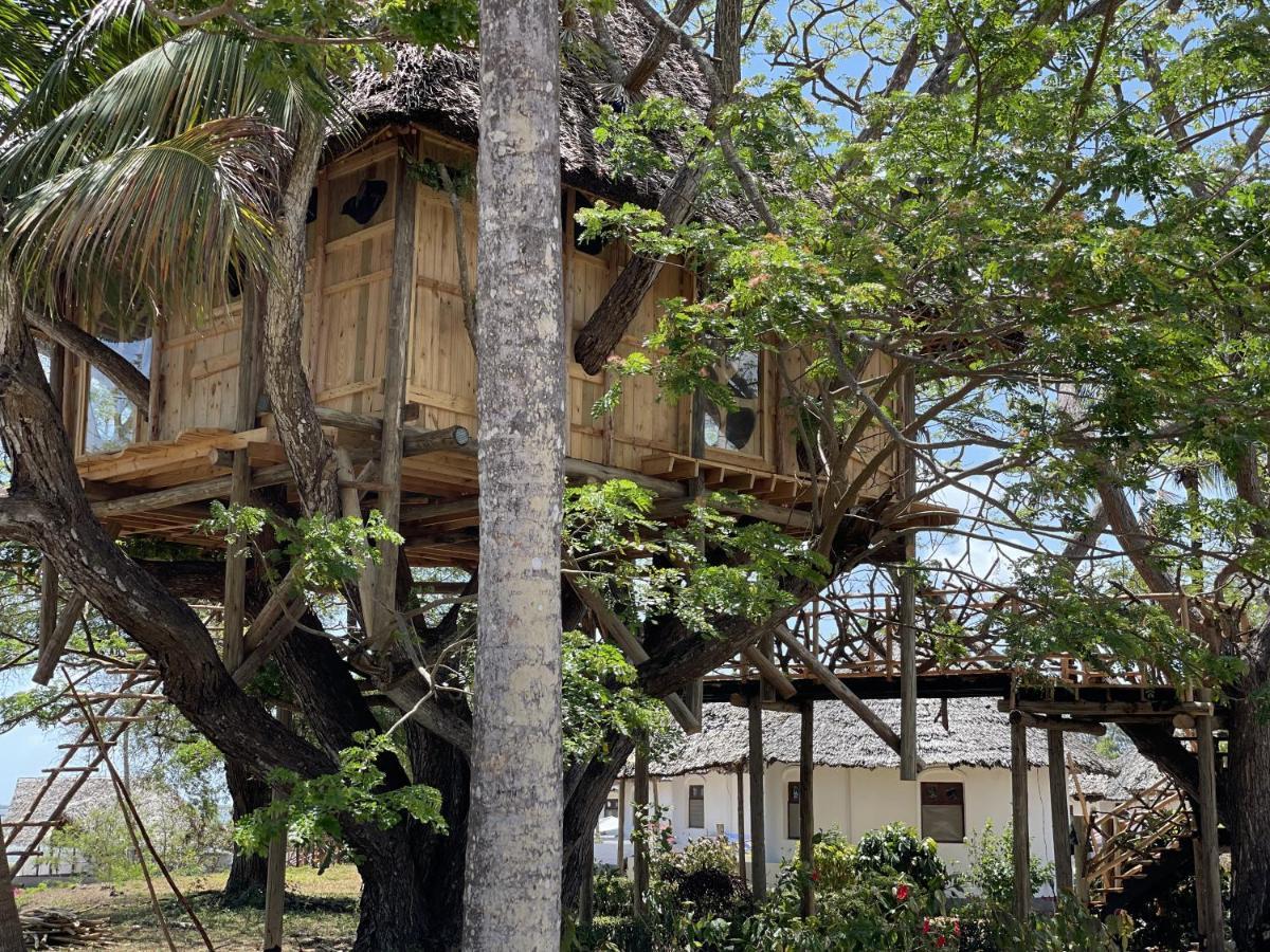 Casa sull’Albero di Tamarindo