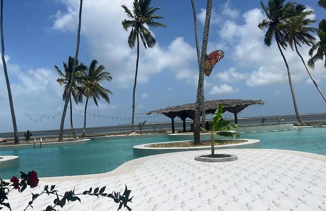 Antonio Beach-1